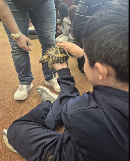 Jungle Jo visits Year 5