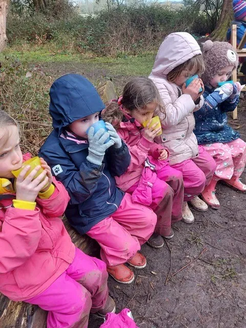 Gallery - created at 2023-03-26 19:07:19 - image 11