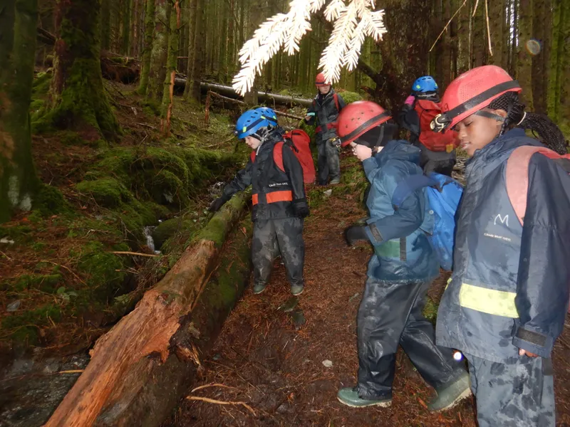 Gallery - created at 2024-02-28 19:37:21 - image 12 Gallery - created at 2024-02-28 19:37:21 - image 12