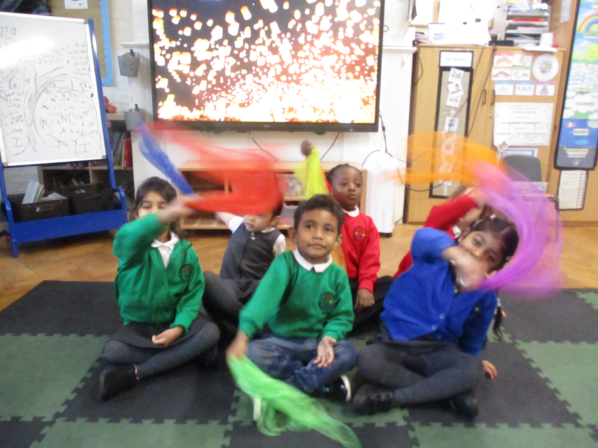 Parrots love fireworks!