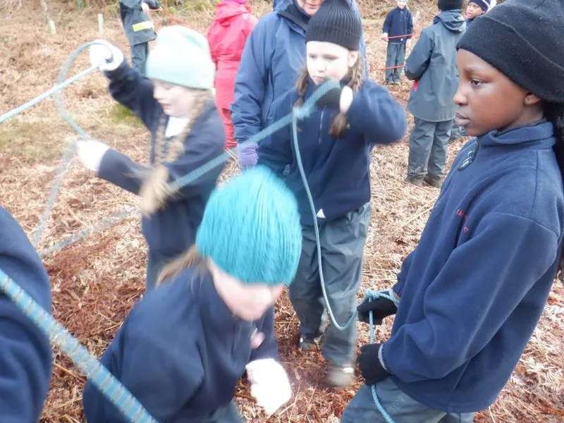 Gallery - created at 2025-02-25 21:38:38 - image 20