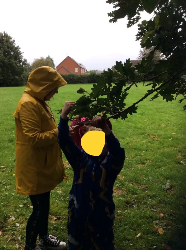 Old Class 1 Forest School - image 29