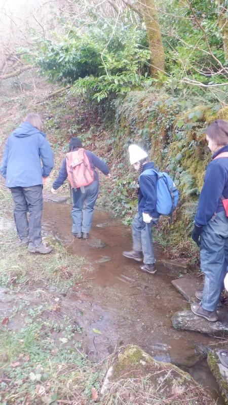 Gallery - created at 2025-02-25 21:38:38 - image 26