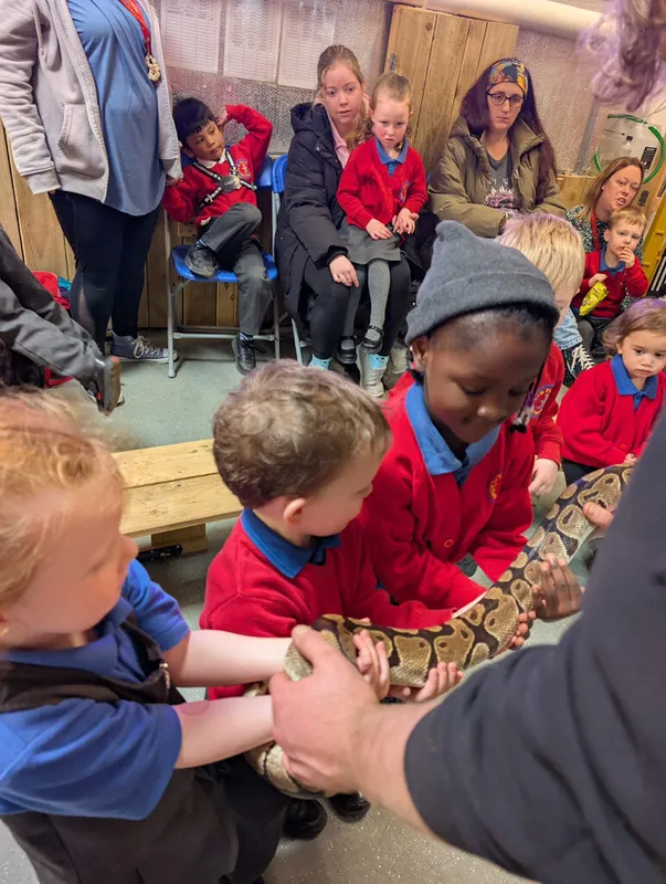 Gallery - created at 2025-05-18 08:54:34 - image 2