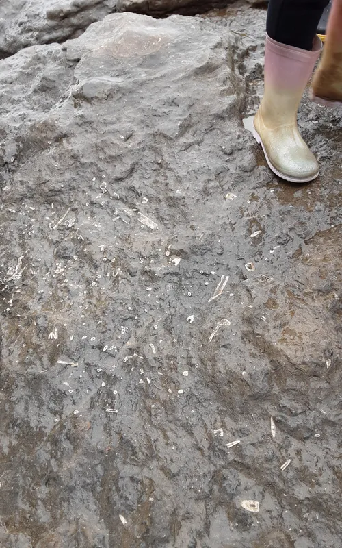 Gallery - created at 2024-10-11 14:26:20 - image 21 Gallery - created at 2024-10-11 14:26:20 - image 21