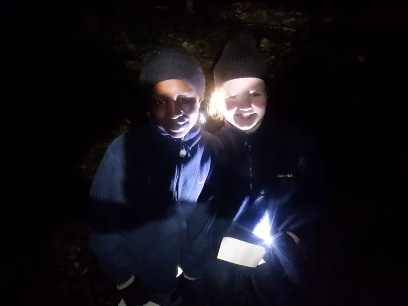 Gallery - created at 2025-02-25 21:38:38 - image 9