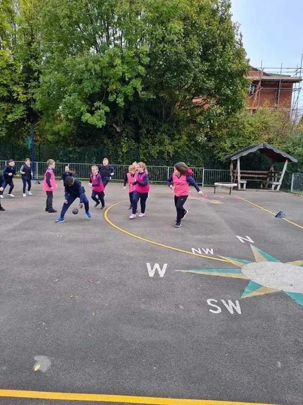 Y4 Paceball - image 4