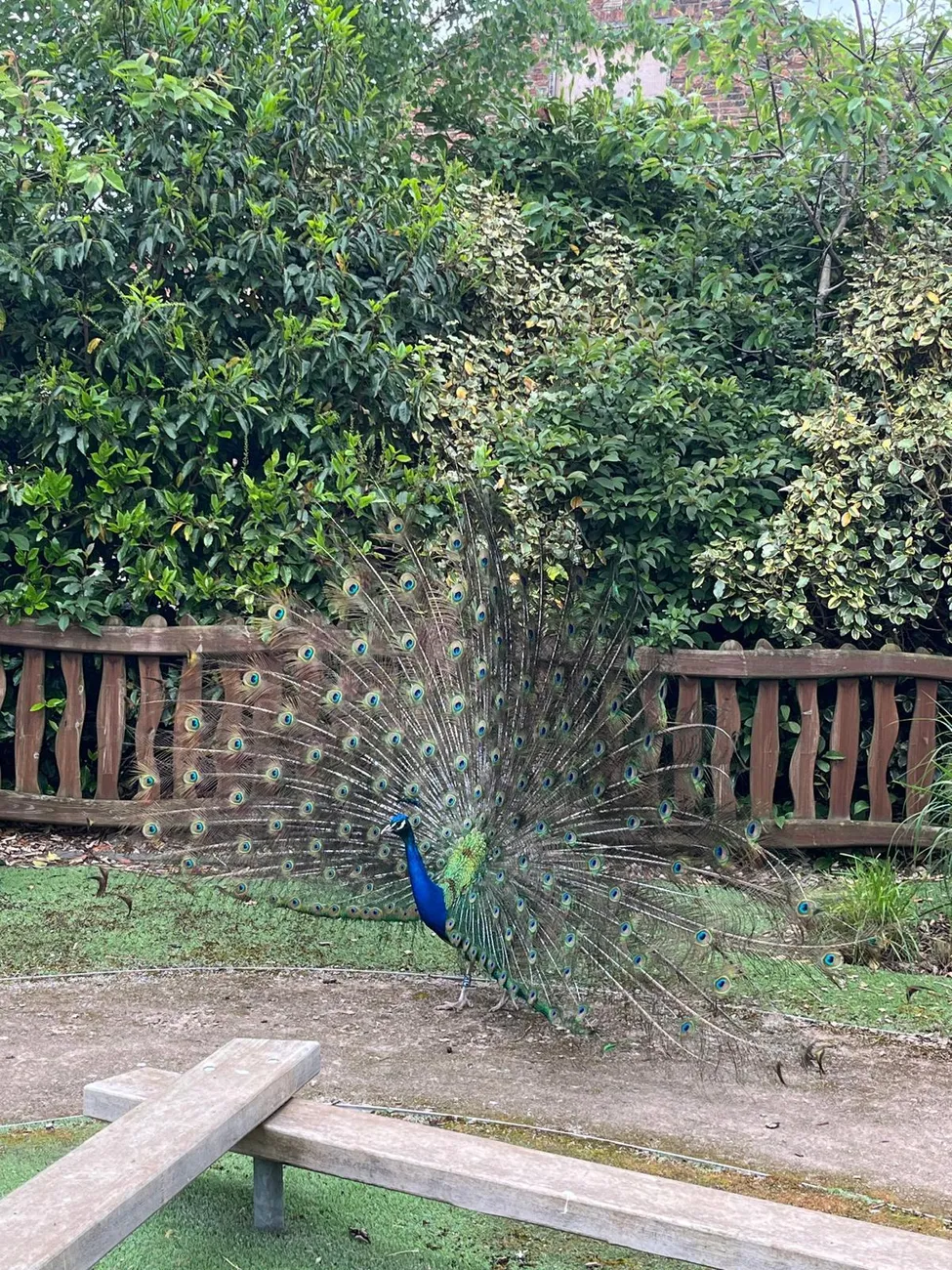 Gallery - created at 2024-06-06 15:03:55 - image 48