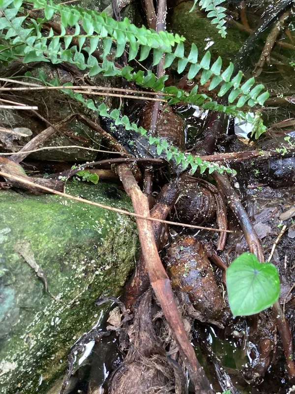 Gallery - created at 2025-03-14 10:11:21 - image 24 Gallery - created at 2025-03-14 10:11:21 - image 24