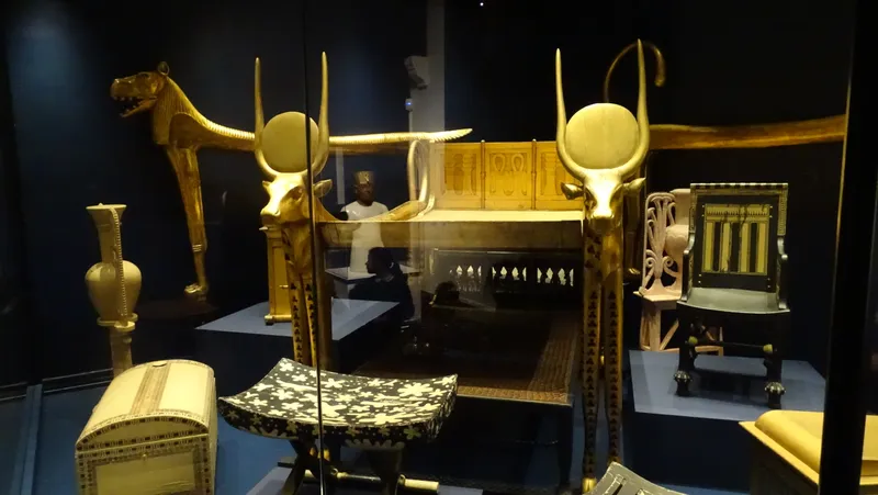 Swallows enjoying their trip to Hull's Museum Quarter - image 7 Swallows enjoying their trip to Hull's Museum Quarter - image 7