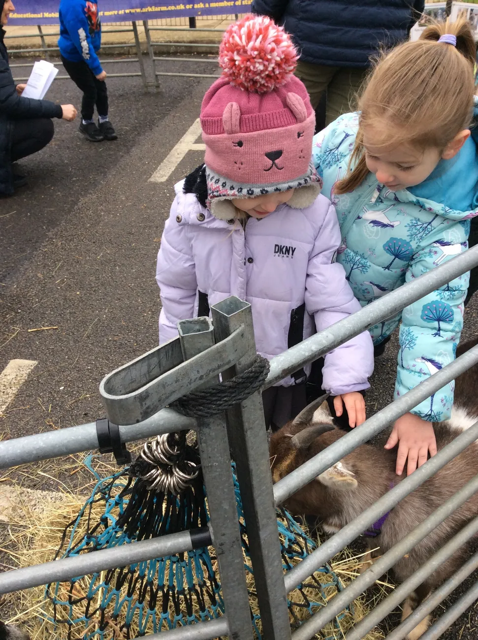 Gallery - created at 2023-03-03 16:33:51 - image 15