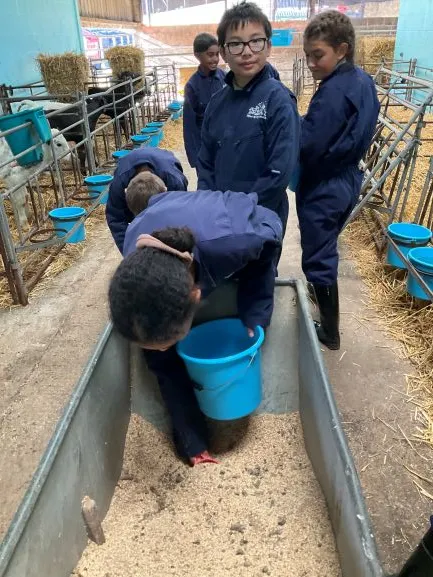 Farm Trip 25 - Gallery 2 - image 8