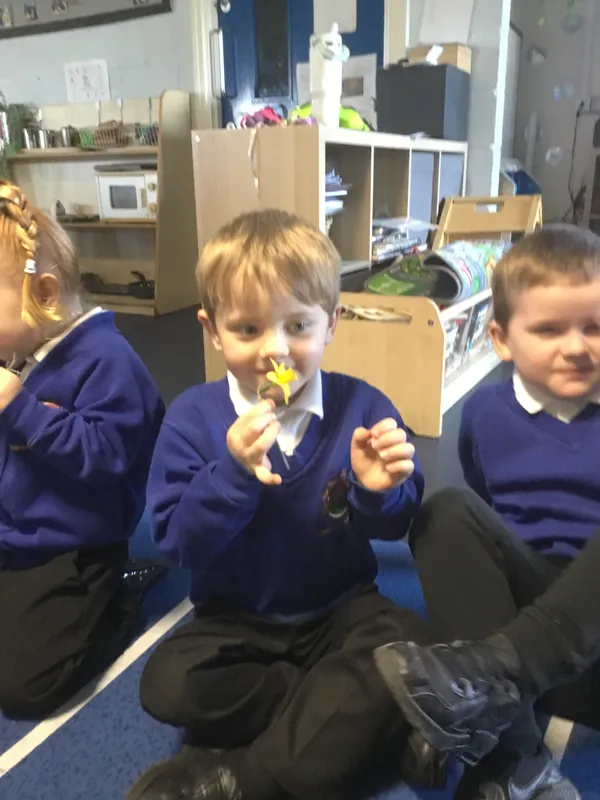 Nursery spring flowers - image 1