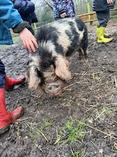 Day 2 more - image 3