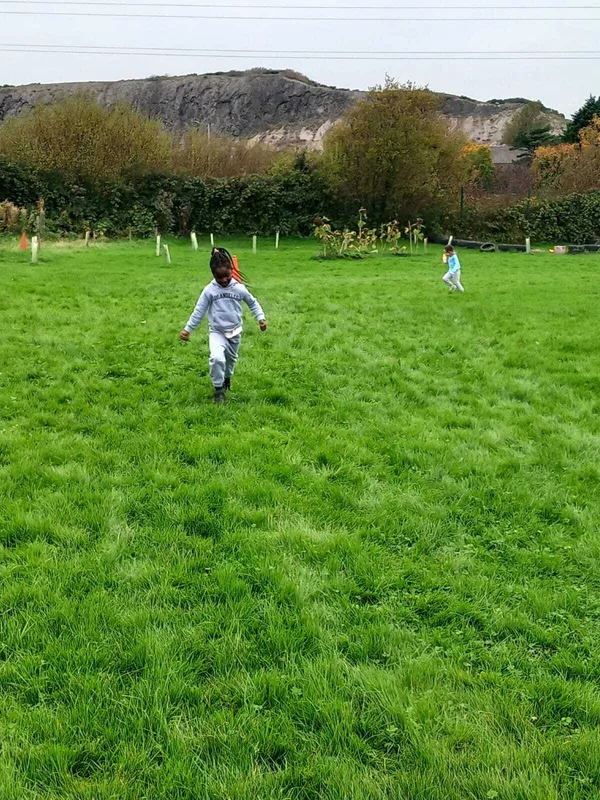 Gallery - created at 2025-10-20 11:33:38 - image 4 Gallery - created at 2025-10-20 11:33:38 - image 4