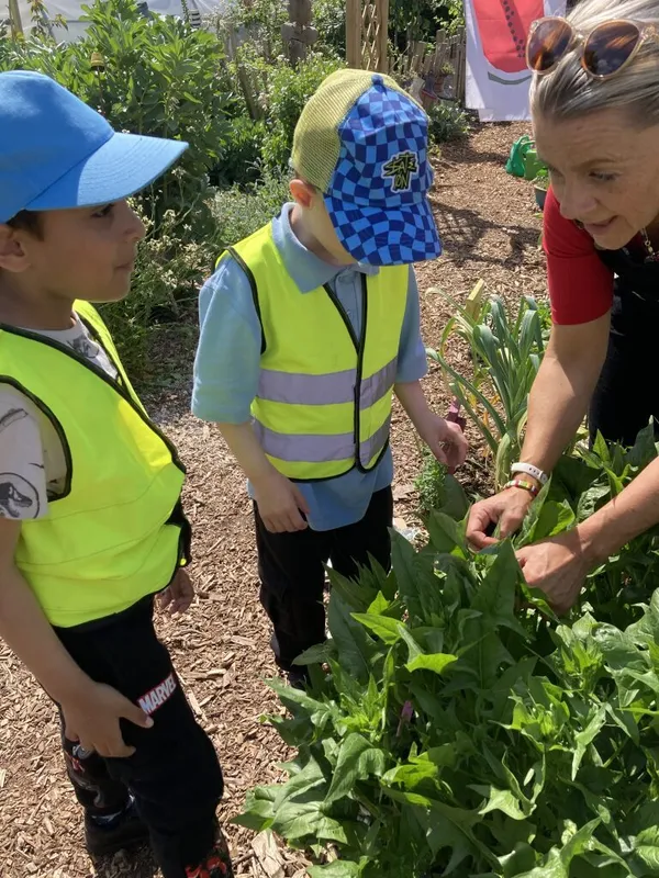 Gallery - created at 2025-11-25 11:17:20 - image 6