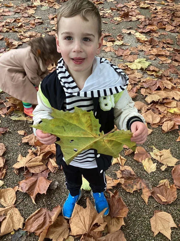 Gallery - created at 2024-11-05 15:27:50 - image 67 Gallery - created at 2024-11-05 15:27:50 - image 67