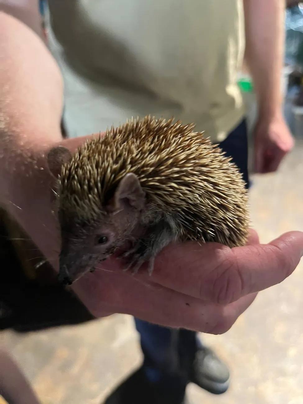 Gallery - created at 2024-06-06 15:03:55 - image 33