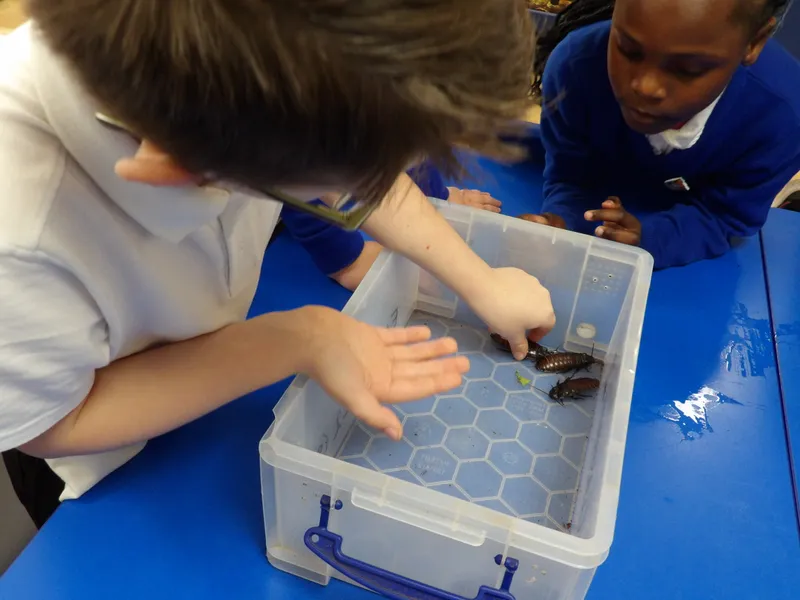 Y3 Yorkshire Wildlife Park Trip - image 56