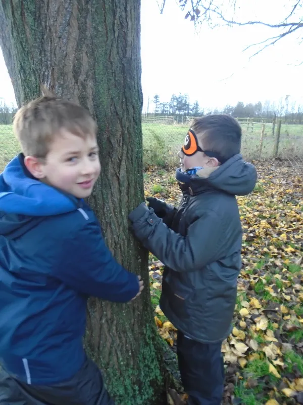 Gallery - created at 2019-12-09 13:14:40 - image 2 Gallery - created at 2019-12-09 13:14:40 - image 2