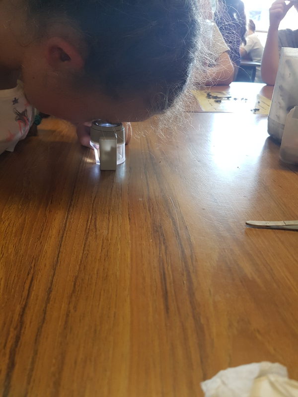 20180419_151759.jpg