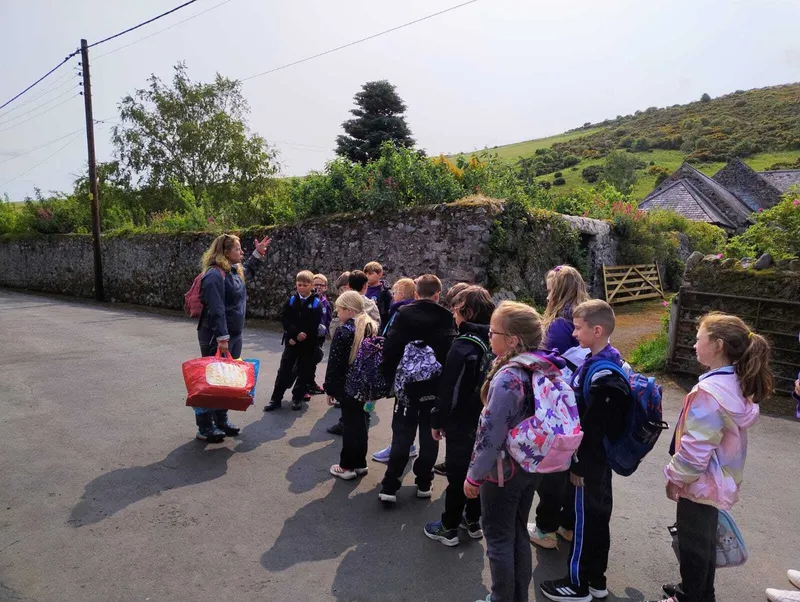 Gallery - created at 2025-06-06 10:37:45 - image 4 Gallery - created at 2025-06-06 10:37:45 - image 4