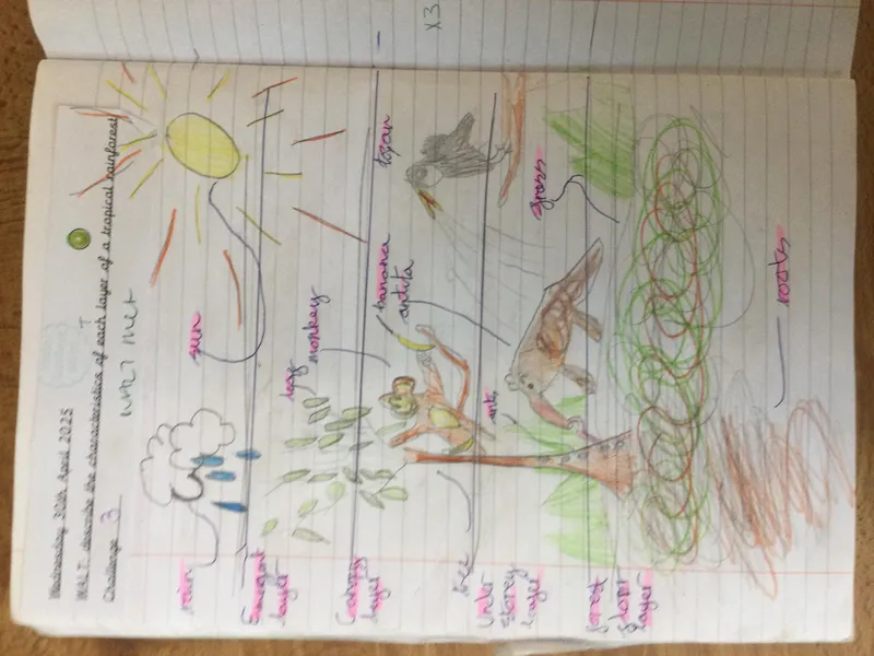 Curriculum Blogs - Geography 1 - image 3