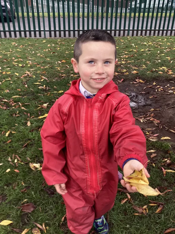 Gallery - created at 2025-10-24 12:22:08 - image 5 Gallery - created at 2025-10-24 12:22:08 - image 5