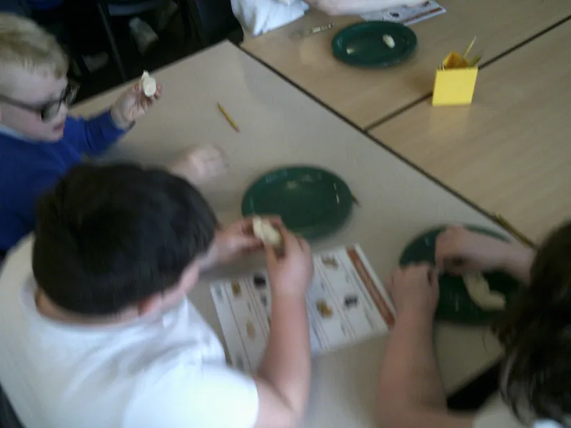 Y4 Roman Archaeology Workshop - image 35