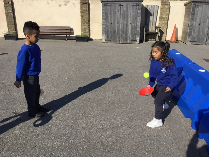 PE Gallery - image 3