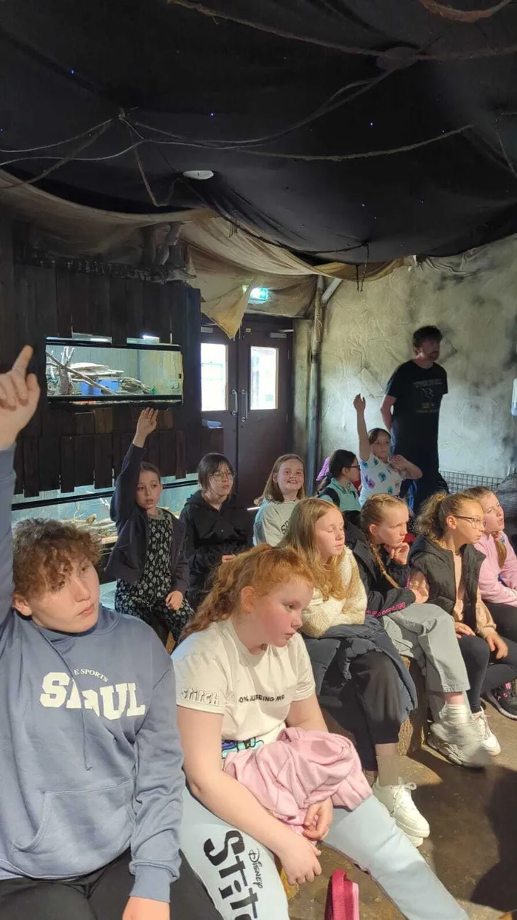 Gallery - created at 2024-06-06 15:03:55 - image 51