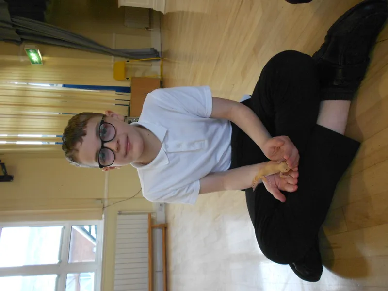 Y6 Reptile Rendezvous - image 40