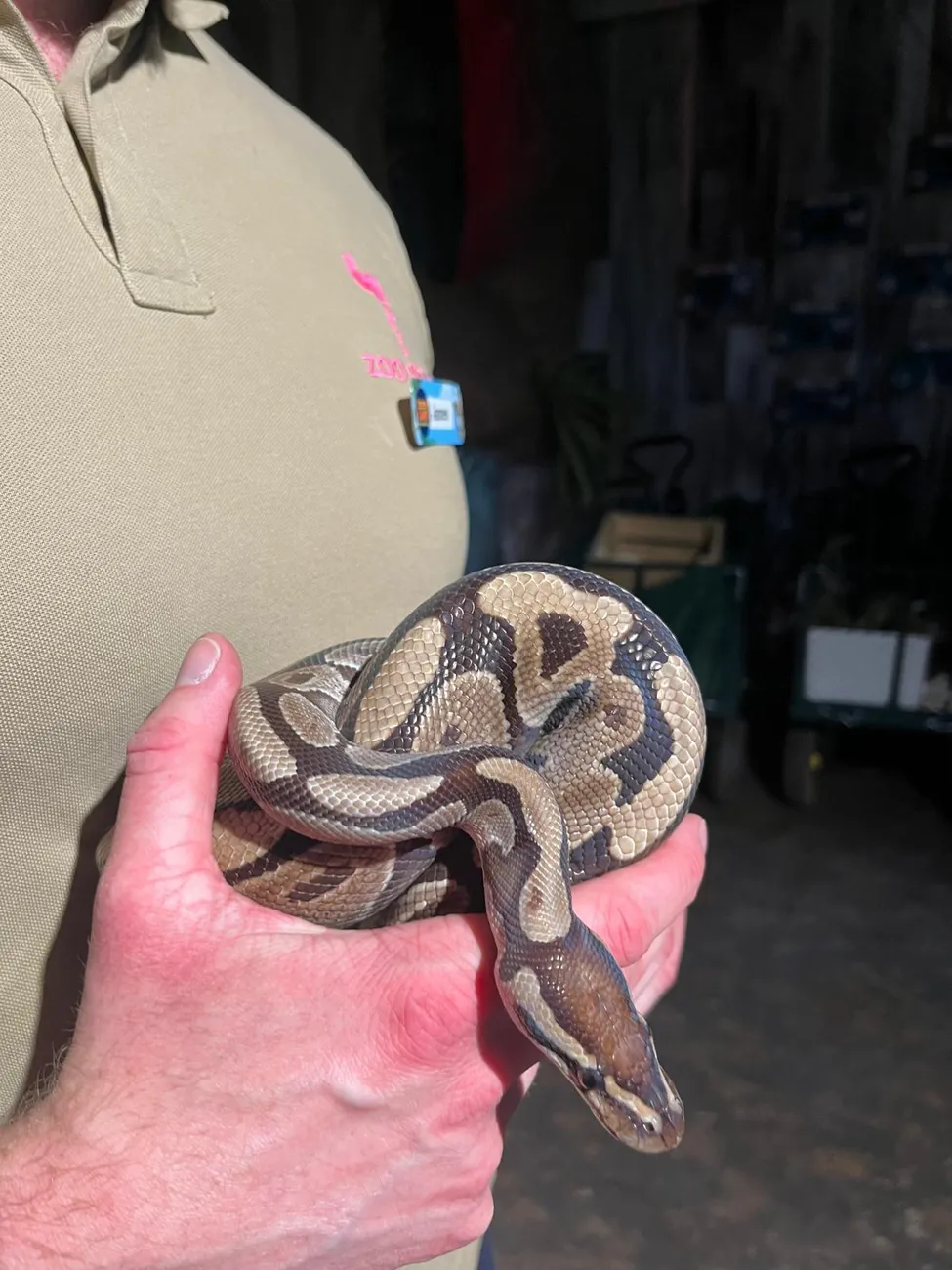 Gallery - created at 2024-06-06 15:03:55 - image 18