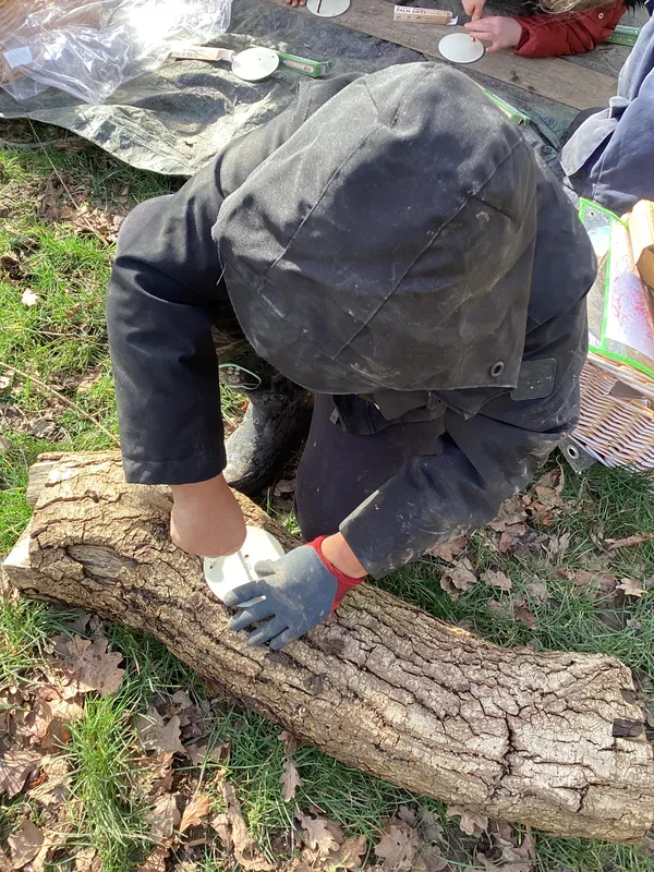 Palm Drills - image 7