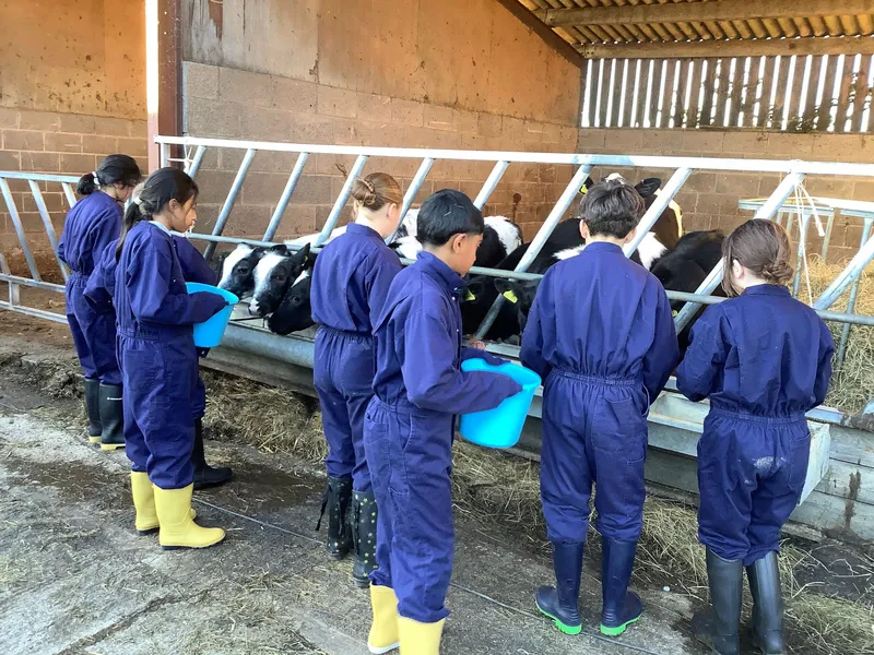 Farm Trip 2025 - image 8