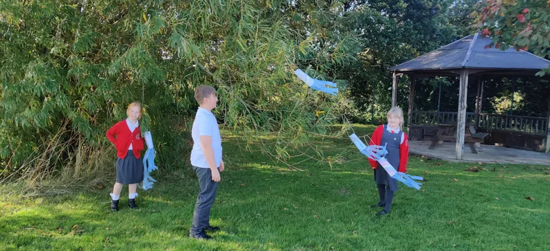 Gallery - created at 2025-05-18 09:46:55 - image 10 Gallery - created at 2025-05-18 09:46:55 - image 10