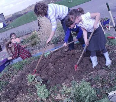 Gallery - created at 2018-01-17 17:01:31 - image 24