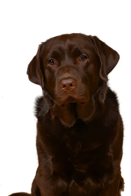 Gallery - created at 2021-06-30 13:57:57 - image 1