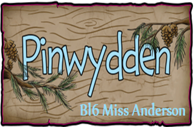 Blwyddyn 6 - Miss Anderson