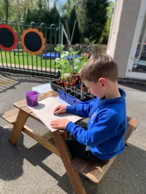 Outdoor Learning Area - image 1