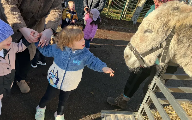 Explorers with Stella on Wheels  - image 15