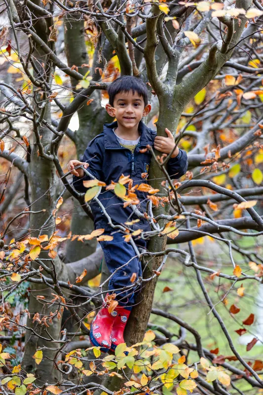 Stay + play - image 2