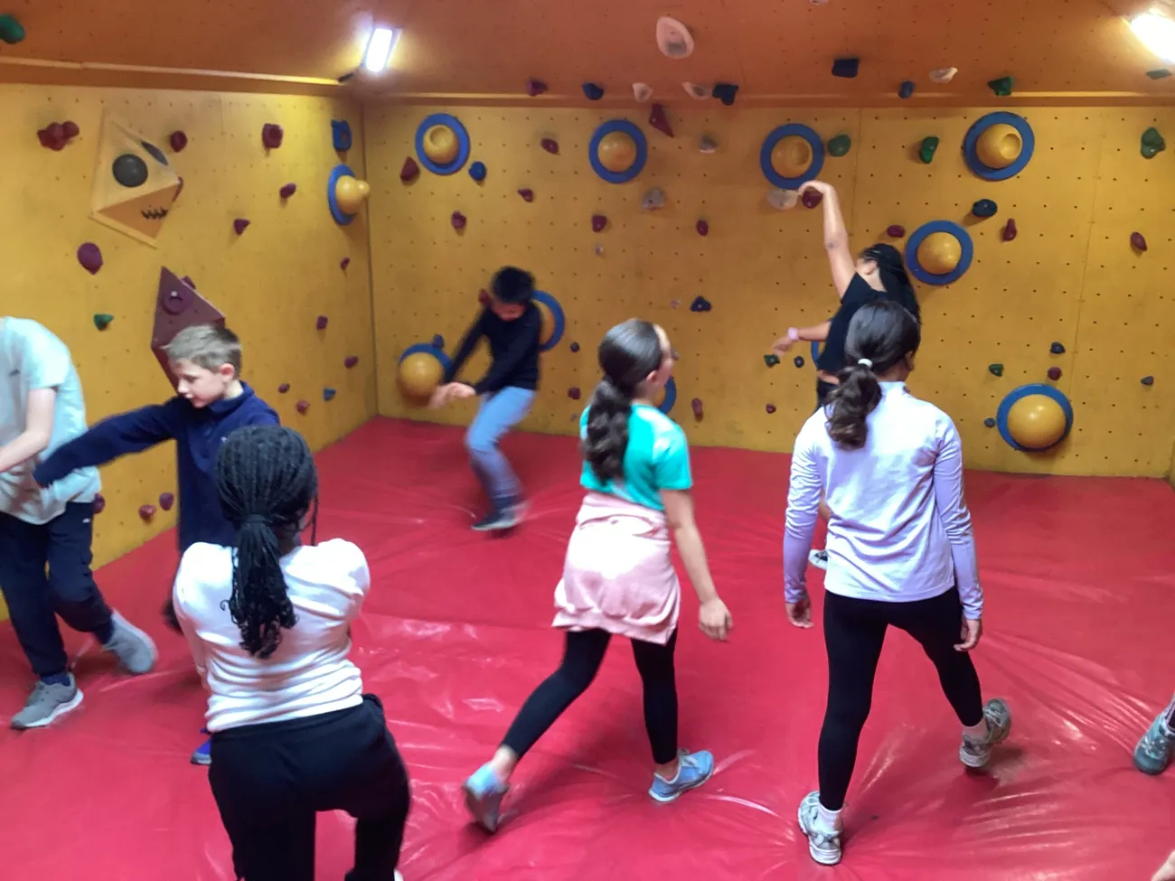 Gallery - created at 2024-09-18 20:08:11 - image 23 Gallery - created at 2024-09-18 20:08:11 - image 23