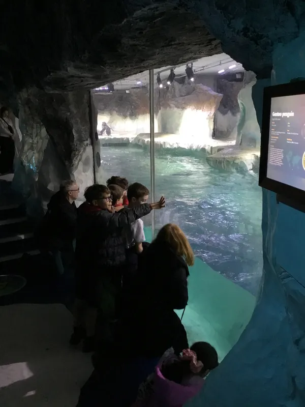 Year 5 Sealife Centre  - image 73