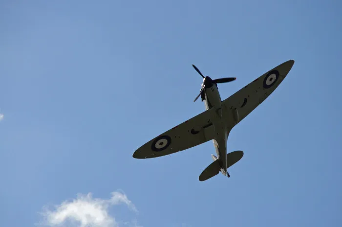 Gallery - created at 2022-11-02 08:06:56 - image 1