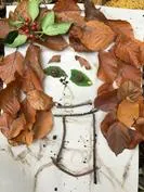 Forest School 143 - image 4 Forest School 143 - image 4