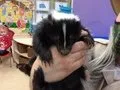 WEE CRITTERS - 2 - image 12