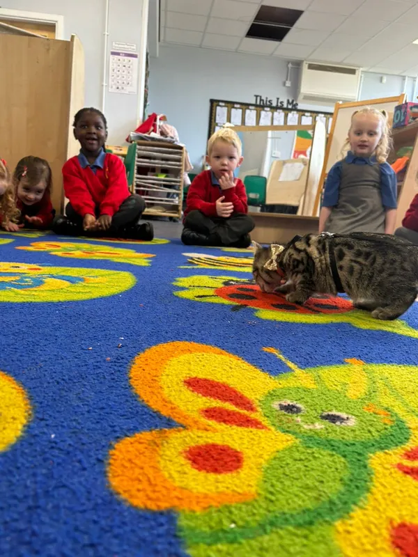 Gallery - created at 2025-05-18 08:54:34 - image 4