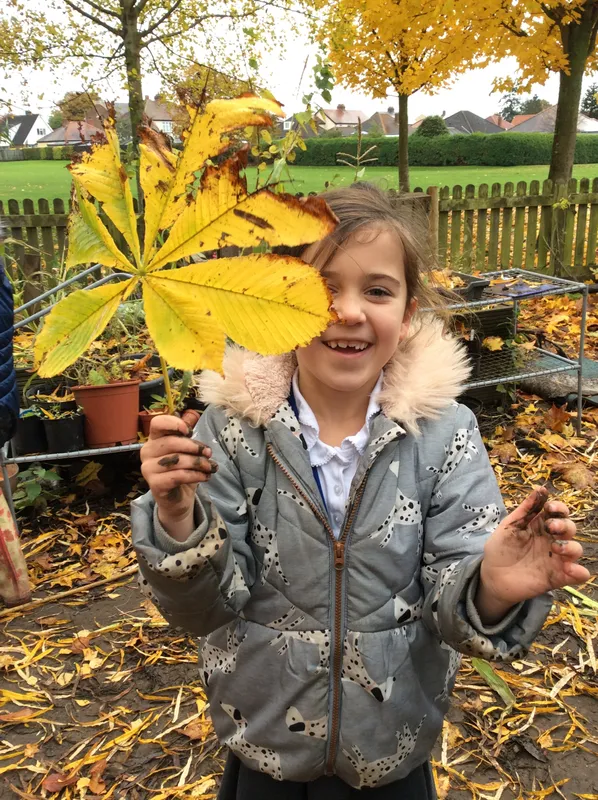 Gallery - created at 2019-01-15 14:42:50 - image 15
