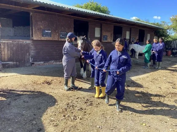 Farm 2025 - Gallery 3 - image 17